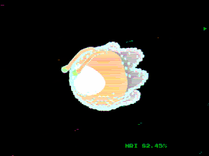 motoko_pals: 516